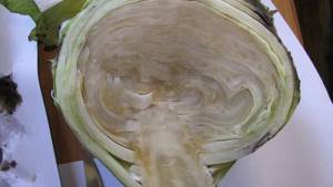 Fresh cabbage is frozen, what should I do?