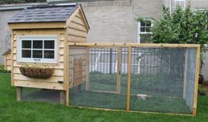 The area around the chicken coop