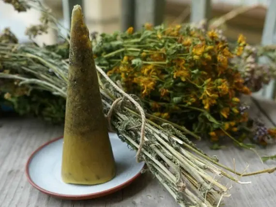 Herbs for making candles for money rituals