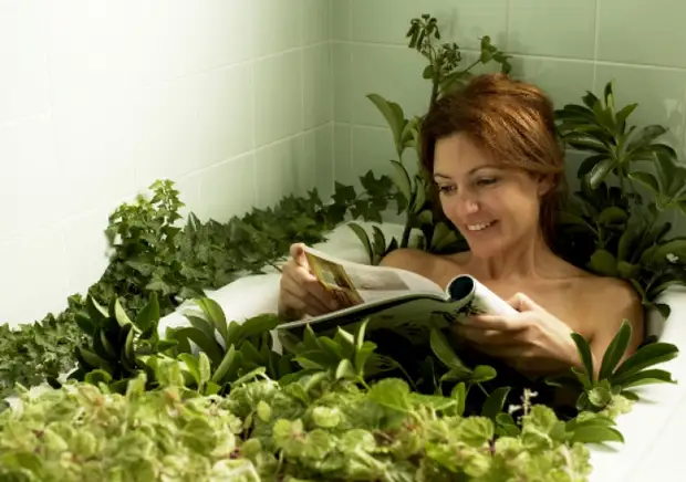 Травяные сборы для принятия ванны