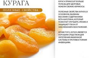 Uryuk (dried apricots). Benefits and harms for the body of men and women, composition, BJU, how much and how to use, how to store 