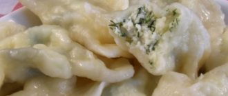Kefir dumplings with cottage cheese