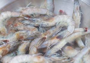 Cooking frozen shrimp in the shell: how to rinse?