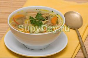 Vermicelli soup with chicken. Traditional recipe 