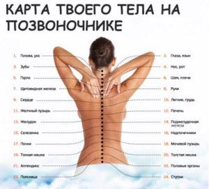 Виды массажа спины
