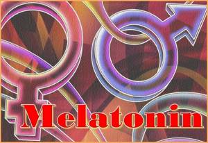 Влияние мелатонина на сексуальную жизнь