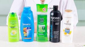 choose shampoo for oily hair