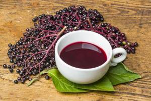black elderberry berries medicinal properties