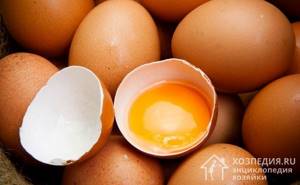 Egg yolk not only effectively cleans silver from blackness and dirt, but also protects the product from darkening and the effects of oxides