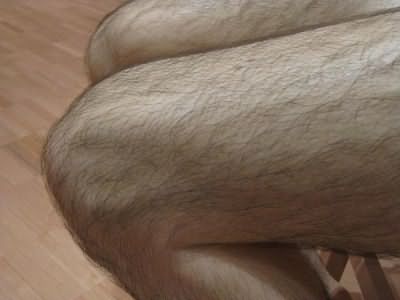 why do people have hair on their legs?